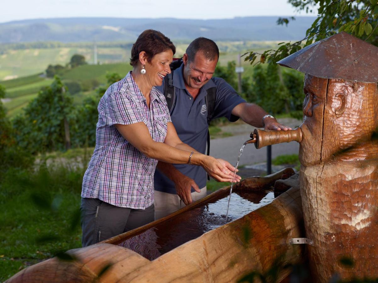 Weingut Christoffel Appartement Kövenig Buitenkant foto