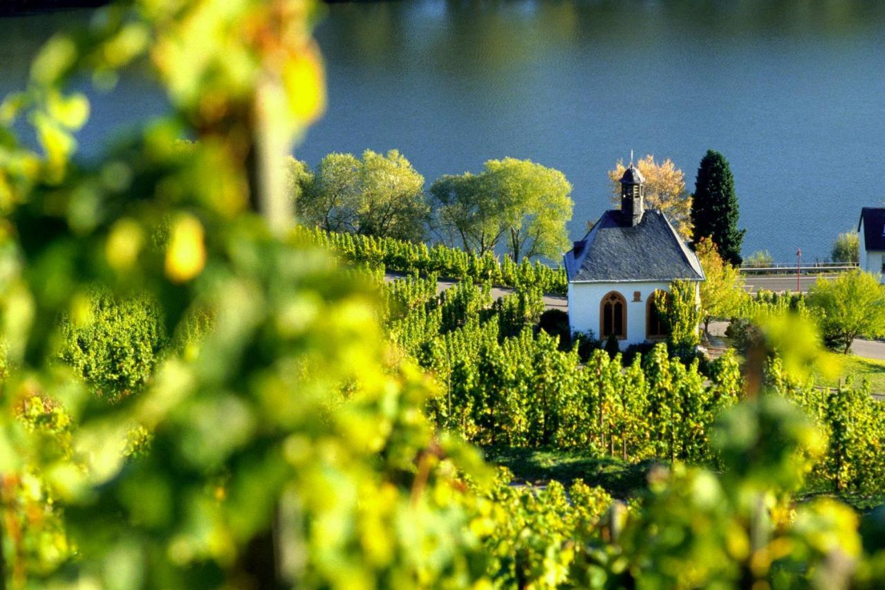 Weingut Christoffel Appartement Kövenig Buitenkant foto